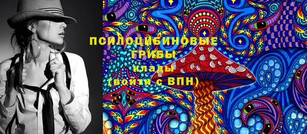 тгк Новодвинск