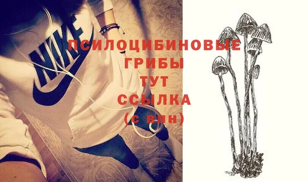 таблы Нягань