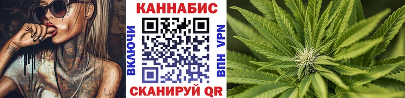 Конопля сатива  где можно купить   Подпорожье 